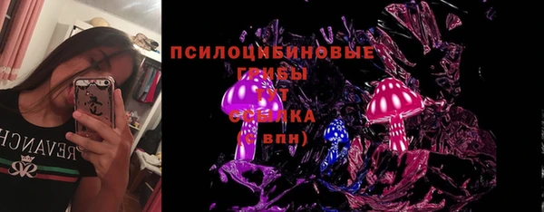 ГАЛЛЮЦИНОГЕННЫЕ ГРИБЫ Арсеньев