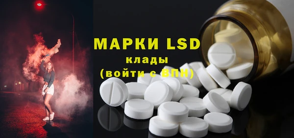 ГАЛЛЮЦИНОГЕННЫЕ ГРИБЫ Арсеньев