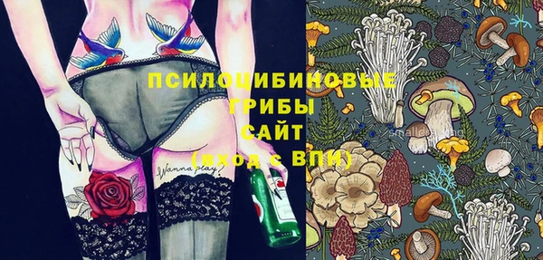 ГАЛЛЮЦИНОГЕННЫЕ ГРИБЫ Арсеньев