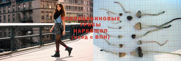 кокс Аркадак