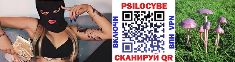 Галлюциногенные грибы Psilocybe  где купить наркоту  hydra вход  Менделеевск 